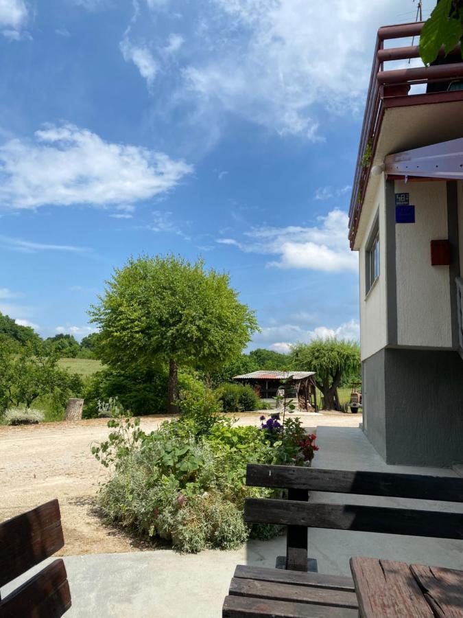 Apartman Laura Smoljanac Esterno foto