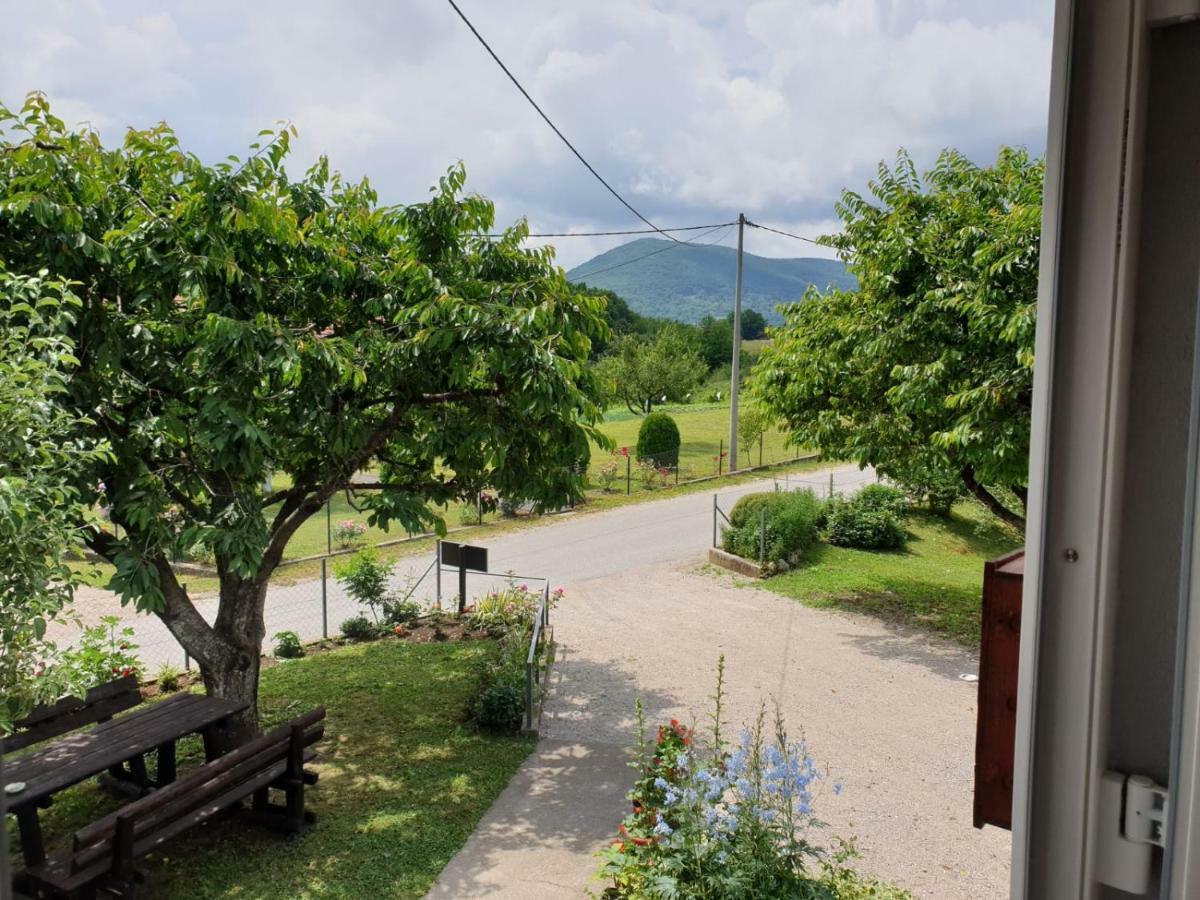 Apartman Laura Smoljanac Esterno foto