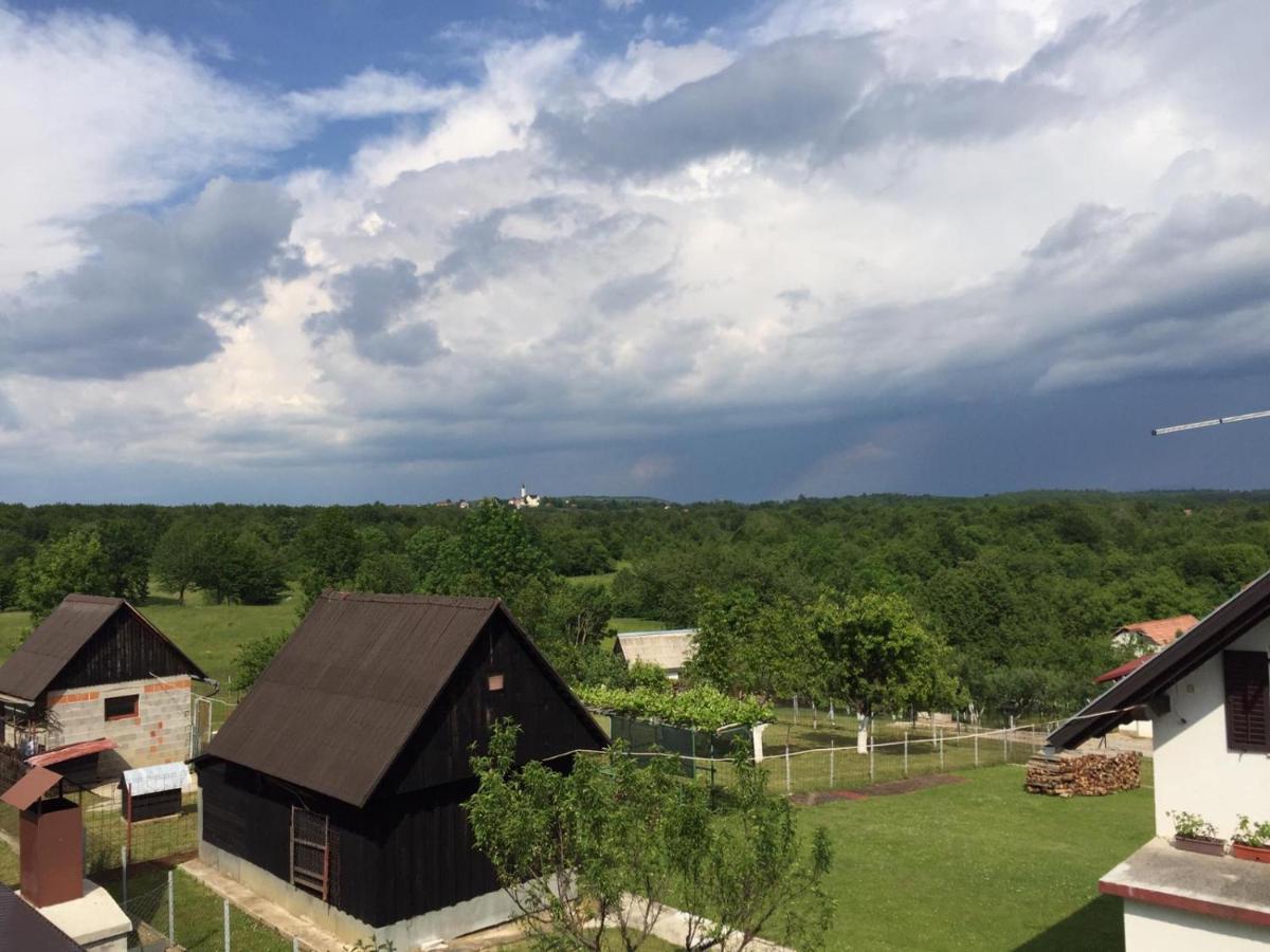 Apartman Laura Smoljanac Esterno foto